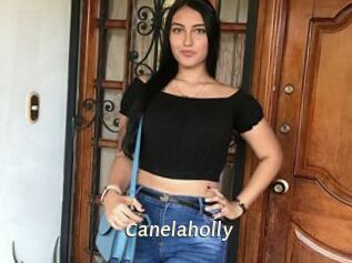 Canelaholly