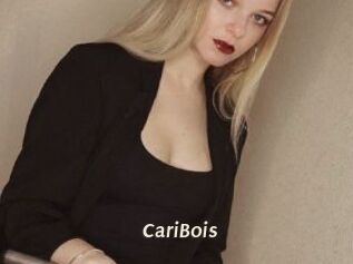CariBois