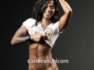 CaribeanUnicorn Blog éjac