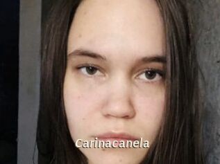 Carinacanela Blog éjac