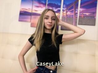 CaseyLake