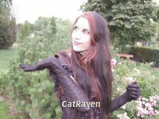CatRaven