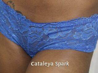 Cataleya_Spark