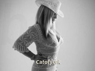 Catofyork