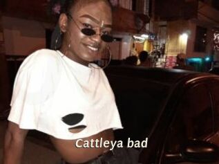 Cattleya_bad