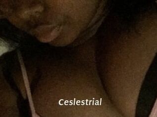 Ceslestrial