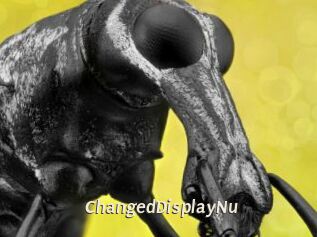 ChangedDisplayNu