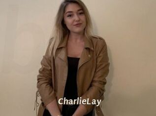 CharlieLay Blog éjac