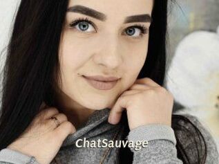 ChatSauvage Blog éjac