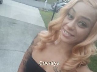 Cocaiya Blog éjac