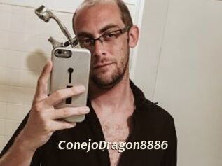 ConejoDragon8886