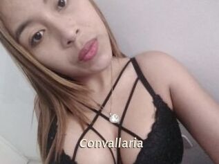 Convallaria