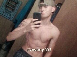 Cowboy201