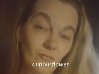 Curiousflower
