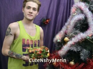 CuteNshyMerin