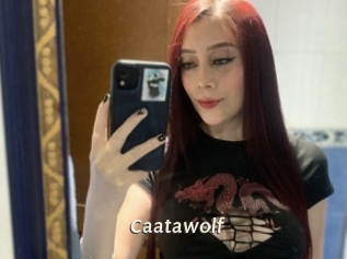 caatawolf Blog éjac