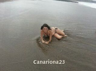 Canariona23