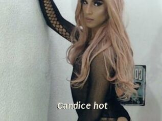 Candice_hot