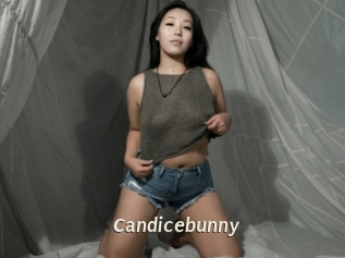 Candicebunny