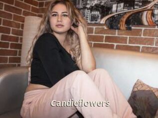 candieflowers Blog éjac