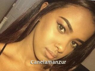 Canelamanzur