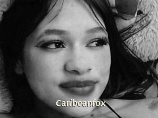 Caribeanfox
