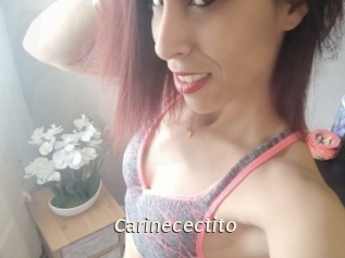 Carinecectito