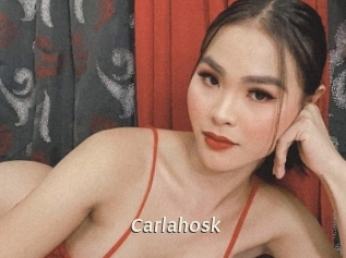 carlahosk Blog éjac
