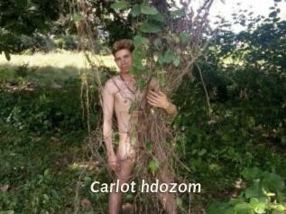 Carlot_hdozom
