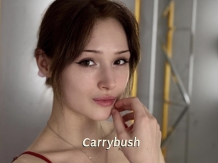 Carrybush