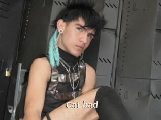 Cat_bad