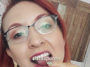 Cataaponte