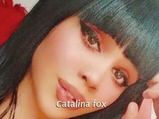 Catalina_fox