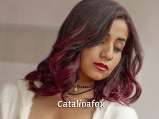 Catalinafox