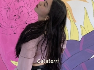 Cataterri