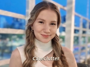 Cateclutter