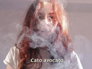 Cato_avocato