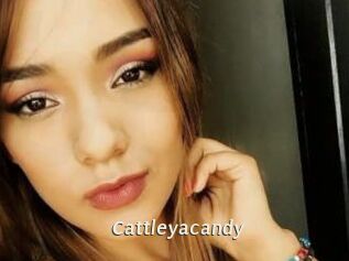 cattleyacandy Blog éjac