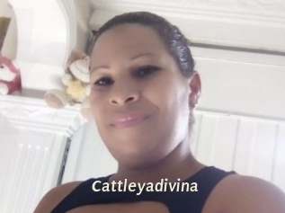 Cattleyadivina