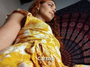 Cattnip
