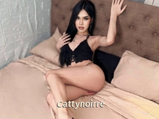 Cattynoirre