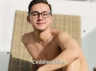 Ceddiecollins
