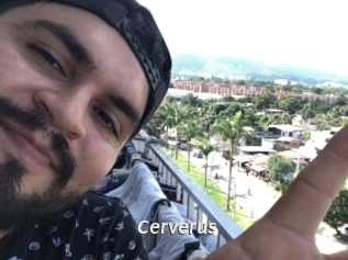 Cerverus
