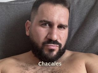 Chacales