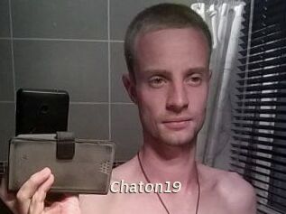 Chaton19