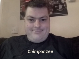 Chimpanzee