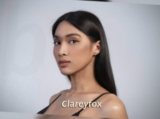 clareyfox Blog éjac