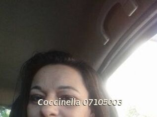 Coccinella-07105003
