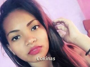 Cokinas
