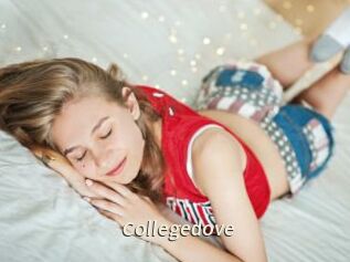 Collegedove